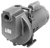 AMT Pump 115/230 Volt, 1 Phase, 1/2 HP, Chemical Transfer Self Priming Centrifugal Pump 1 Inch Inlet, Stainless Steel and Cast Iron Housing, Stainless Steel Impeller, 48 Ft. Shut Off, Viton Seal 4295-999-98 - 09273988