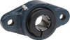 Value Collection 3/4" ID, 4-7/16" OAL x 1-3/8" OAH 2-Bolt Flange 1,494 Lb Static Cap, 2,877 Lb Dyn Cap, 3-17/32" Btw Mnt Hole Ctrs, 19/32" Base-to-Ctr Ht, Cast Iron UCFL204-12T - 69962777
