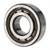 SKF 20mm Bore Diam, 47mm Outside Diam, 14mm Wide Cylindrical Roller Bearing 25,100 N Dynamic Capacity, 25,200 Lbs. Static Capacity NJ 204 ECP - 43340777