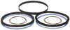Parker Hannifin 6" Bore, 4MA Piston Seal Kit Fits Parker PK6004MA05 - 93117943