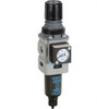 Wilkerson 1/4 NPT Miniature 1 Pc Filter/Regulator FRL Unit with Pressure Gauge 73 SCFM, 250 Max psi, Aluminum Bowl, Manual Drain Drain B08-02-FLG0B - 11760014