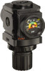 ARO Fluid Management 1/4 NPT 0 - 140 psi Miniature Aluminum Regulator with Gauge 250 Max Supply psi, 59 CFM, 23 to 140°F, 2.913" Wide x 3.563" High R37121-600 - 44920312