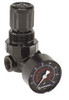 Norgren 1/4 NPT 5 - 125 psi Miniature Zinc Regulator with Gauge 300 Max Supply psi, 15 CFM, -34 to 150°F, 1.63" Wide x 2.91" High R07-200-RGLA - 04290474