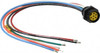 Brad Harrison - Molex 8 Amp, Female Straight Receptacle 600 VAC/VDC, 0.31m Cable Length, IP67 Ingress Rating 1R6004A20A120 - 09542341