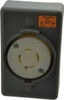 Hubbell Wiring Device-Kellems 125/250 VAC, 20 Amp, L14-20R NEMA, Self Grounding Receptacle 3 Poles, 4 Wire, Female End, Gray HBL2410SR - 73122384