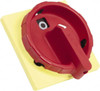 Schneider Electric Cam and Disconnect Switch Padlockable Handle For Use with Manual Motor Control Switches and Disconnect Switches KCG2YZ - 69680379