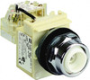 Schneider Electric 120 VAC Indicating Light Screw Clamp Connector 9001KT1 - 69673580