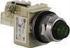 Schneider Electric 120 VAC Green Lens Indicating Light Screw Clamp Connector 9001KT1G31 - 69673598
