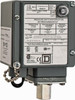 Square D 4, 13 and 4X NEMA Rated, SPDT-DB, 3 to 150 psig, Electromechanical Pressure and Level Switch Adjustable Pressure, 120 VAC, 125 VDC, 240 VAC, 250 VDC, 1/4 (Fluid Connection), 1/2" (Conduit) Connector, Screw Terminal 9012GAW5G17 - 59760991