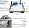 Adam Equipment CPWplus Bench and Floor Scales
