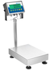 Adam Equipment Gladiator Washdown Scale, 165lb/75kg Capacity, 0.01lb/5g Readability - GGB165A