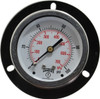 Winters Instruments 2-1/2" Dial, 1/4 Thread, 0-100 Scale Range, Pressure Gauge Front Flange Panel Mount, Center Back Connection Mount, Accurate to 1.5% of Scale PFQ904-DRY-25FF - 89905624