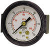 Winters Instruments 2" Dial, 1/8 Thread, 0-600 Scale Range, Pressure Gauge U-Clamp Panel Mount, Center Back Connection Mount, Accurate to 2.5% of Scale P9U901446UC - 89905848