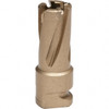 Hougen 14mm Diam x 19mm Deep Carbide-Tipped Annular Cutter Oxide/Gold Finish, 5/8" Shank Diam, Rotaloc Twist-Style Shank 18-17304 - 11777646