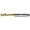 Walter Prototyp Spiral Flute Tap: M10x1.50 Metric, 3 Flutes, Modified Bottoming, 6HX Class of Fit, Powdered Metal, TIN Coated 15 mm Thread Length, 100 mm OAL, Right Hand Thread, Series EP2051305 6245580 - 36217503