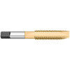 Titan USA Spiral Point Tap: #10-24 UNC, 2 Flutes, Plug Chamfer, 2B/3B Class of Fit, High-Speed Steel, TiN Coated 7/8" Thread Length, 2-3/8" OAL, Right Hand, H3, Series High Speed Steel - Spiral Point Plug Taps TT99436 - 07966021