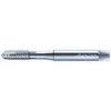 Walter Prototyp Spiral Point Tap: M1.2x0.25 Metric, 2 Flutes, Plug Chamfer, 6H Class of Fit, High-Speed Steel-E, Bright/Uncoated 5.00 mm Thread Length, 40.00 mm OAL, Right Hand, Series P20210 6159833 - 36365138