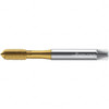 Walter Prototyp Thread Forming Tap: M5 Metric, 6HX Class of Fit, Semi-Bottoming, High Speed Steel, TiN Coated 13 mm Thread Length, 70 mm OAL, Series TC410 7427626 - 95977682