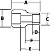 Williams Industrial Tools 3/4" Drive 12-Point Metric 36 mm Shallow  Socket - JHWHM-1236