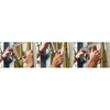 BESSEY All-Steel Pivot Handle Bar Clamps, GZ Series