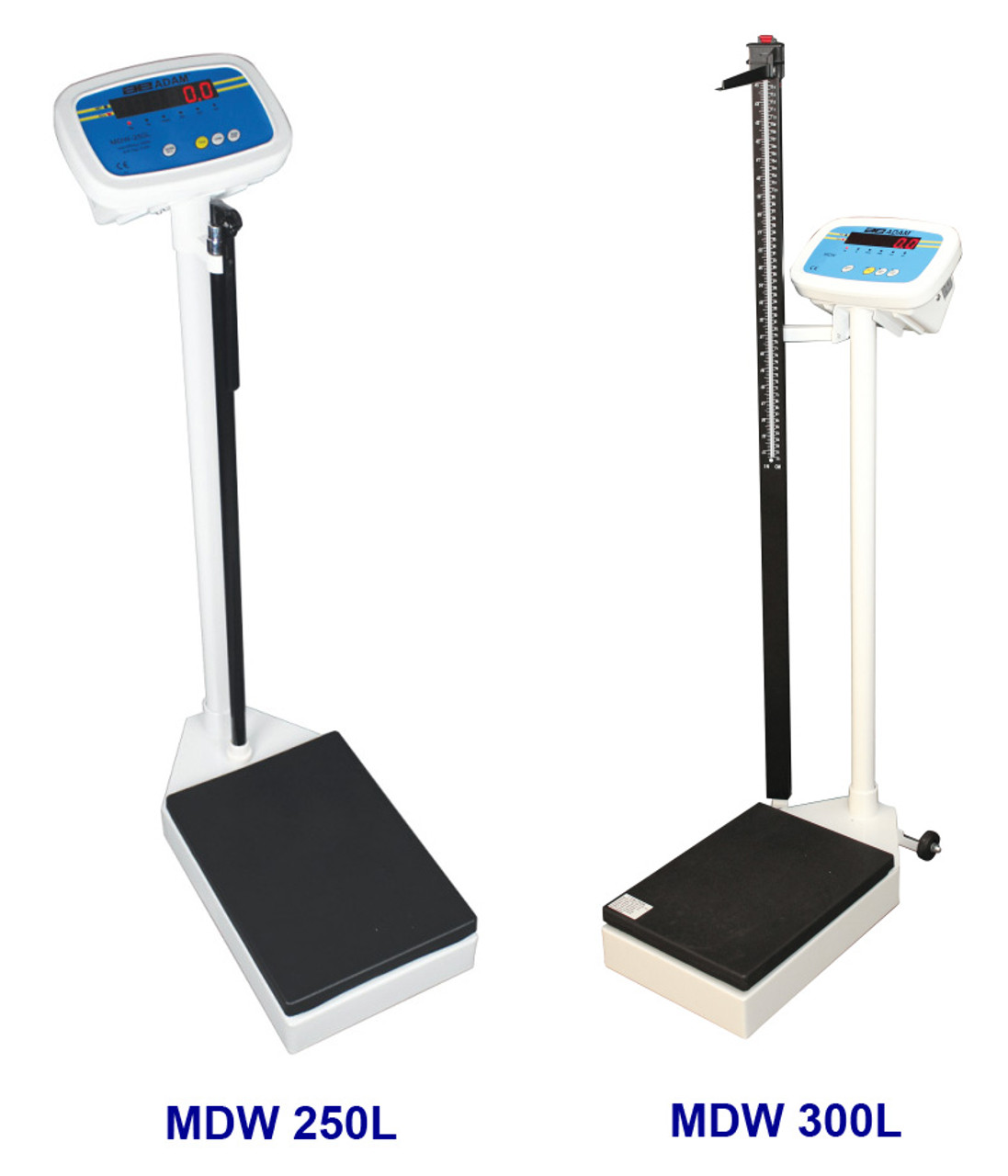 Physician Scales