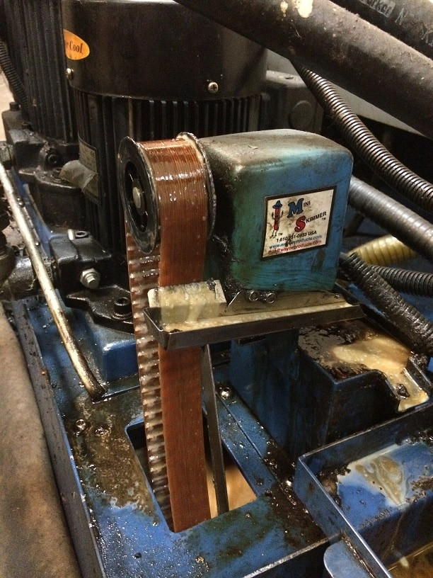 Wayne Products Flat Belt MiniSkimmer, DBS 10RPM, 8" Reach 37800