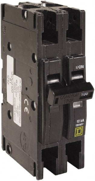 Square D 125 Amp, 240 VAC, 2 Pole, Panel Mount Miniature Circuit