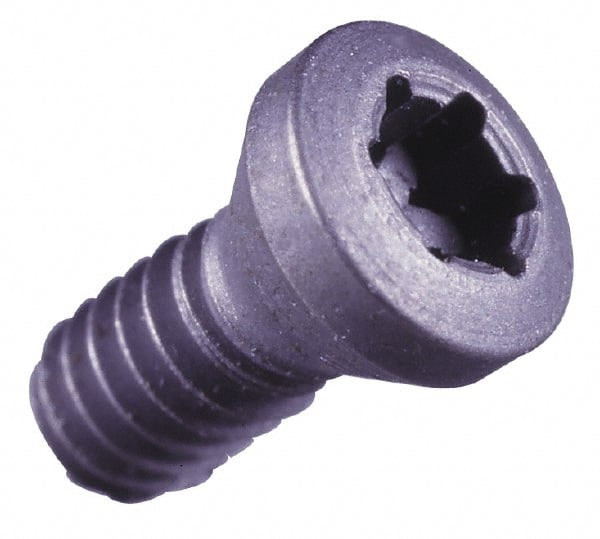 Seco Tools TP9 Torx Plus Lock Screw for Indexables Insert Compatible ...