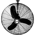 Fans
