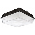 High Abuse Location Light Fixtures