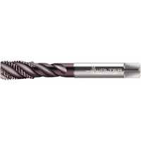 Walter Prototyp Spiral Flute Tap: M24x3.00 Metric, 4 Flutes, Modified Bottoming, 6HX Class of Fit, Powdered Metal, Hardlube Coated 30 mm Thread Length, 160 mm OAL, Right Hand Thread, Series EP2056312 6245595 - 53063954
