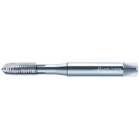 Walter Prototyp Spiral Point Tap: M1x0.25 Metric, 2 Flutes, Plug Chamfer, 6H Class of Fit, High-Speed Steel-E, Bright/Uncoated 5.00 mm Thread Length, 40.00 mm OAL, Right Hand, Series P20210 6159832 - 36356590