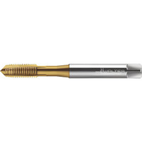 Walter Prototyp Spiral Point Tap: M2x0.4 Metric, 2 Flutes, Plug Chamfer, 6H Class of Fit, High-Speed Steel-E, TiN Coated 6.00 mm Thread Length, 45.00 mm OAL, Right Hand, Series TC216 7606188 - 13129317