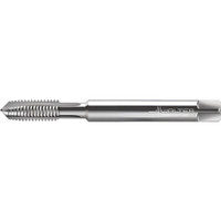 Walter Prototyp Spiral Point Tap: M5x0.8 Metric, 3 Flutes, Plug Chamfer, 4H Class of Fit, High-Speed Steel-E-PM, Bright/Uncoated 16.00 mm Thread Length, 70.00 mm OAL, Right Hand, Series 202061 5075829 - 92027853