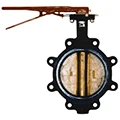Butterfly Valves