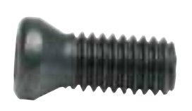 Everede Torx® Screw, E Series WCGT0 - 19040