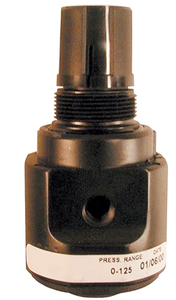 Coilhose Pneumatics Compact Regulator with Gauge, 3/8” Port/Pipe - 26R3-G - 99-031-063