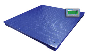 Adam PT Platform with AE402 Indicator - PT312-10-AE402 Adam PT Platform with AE402 Indicator - PT312-10-AE402
