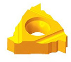 Precise Internal Threading & Grooving Insert RT16.01N-3.00GM - 6006-1011