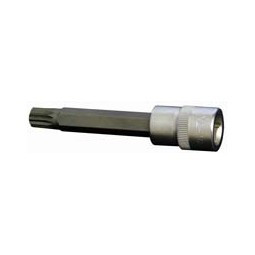 Assenmacher Specialty Tools 10MM Point LG Socket - AH6300XL-10