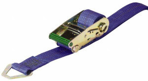 Wesco 12 ft. Long x 2-1/8" Wide, 1 Ply, Nylon Web Sling Blue, with Delta Rings 260096 - 08095903