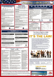 AccuformNMC 24" Wide x 40" High Laminated Paper Labor Law Information Poster Federal Jurisdiction, 0.03" Thick, English LLPF - 88061999
