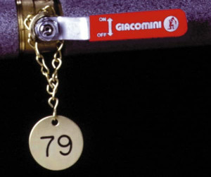 AccuformNMC 25 Qty 1 Pack 1-1/2" High x 1-1/2" Long, [Number Set 176-200], Safety & Facility Valve Tag 1 Side, Gold Brass SBT200 - 80026552