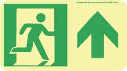 AccuformNMC Forward Arrow, Right Side Stick Figure in Doorway (Graphic), Polyester Exit Sign 8" Wide x 4-1/2" High, Glow-in-the-Dark 50F-1SN-F - 86710415