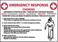 AccuformNMC "Emergency Response - Choking", 10" Long x 14" Wide, Rigid Plastic Safety Sign Rectangle, 0.05" Thick, Use for First Aid M458RB - 77557759