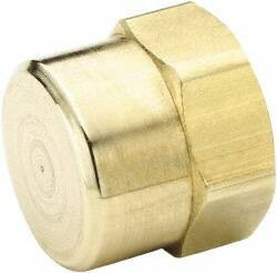 Parker Hannifin 3/4 Female FNPTF Industrial Pipe End Cap 1,000 psi, Brass 213P-12 - 61573432