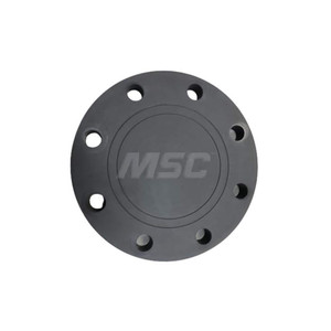 PRO-SOURCE 3" Pipe, 7-5/8" OD, PVC Blind Pipe Flange Schedule 80, Gray PS11FT7-08-0080 - 02410579