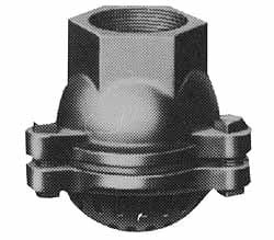 Value Collection 2-1/2" Hose, Foot Valve Cast Iron FV25 - 48497440