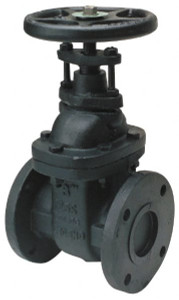 Legend Valve 5" Pipe, Class 125, Flanged Cast Iron Solid Wedge OS & Y Gate Valve 200 WOG, 125 WSP, Bolted Bonnet 116-125 - 03492352