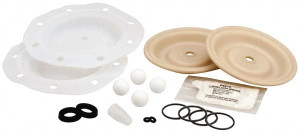 ARO Fluid Management PTFE Fluid Section Repair Kit For Use With Diaphragm Pumps 637427-TT - 60600384